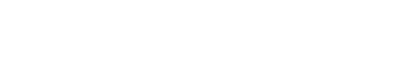 logo-iss-w